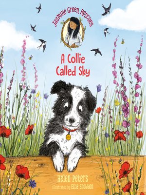 cover image of A Collie Called Sky